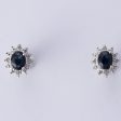 14k White Gold Sapphire & Diamonds Earrings | 0.08 ctw Online now