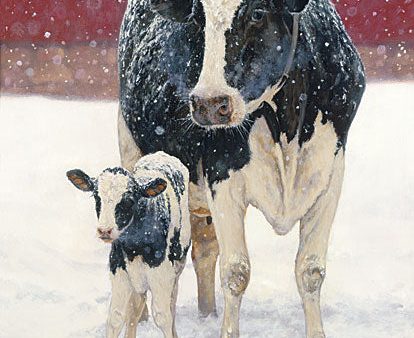 COW146 - First Christmas - 12x16 Online Sale