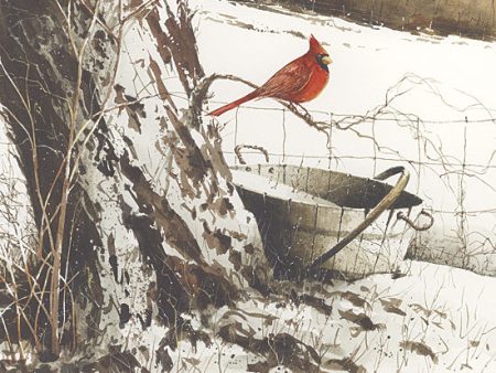 JR138 - Country Cardinal - 12x12 Online Hot Sale