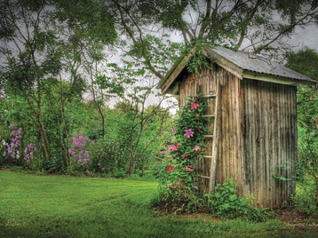 LD102 - Fragrant Outhouse - 18x12 For Discount